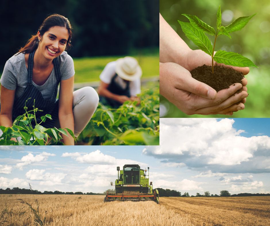 The role of sustainable agriculture in promoting green living